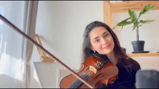 Katarína Irhová - Falling slowly - violin/piano cover