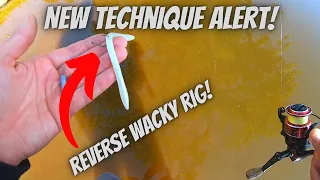 My Reverse Wacky Rig! You’ve Never Seen This Before!