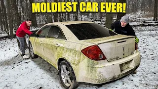 Disaster Barnyard Find | Moldiest G6 EVER! | ABANDONED In Woods! | Car Detailing Restoration