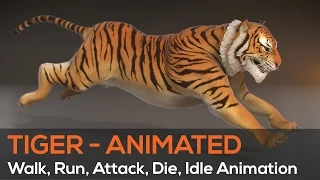 (2015) 3D Tiger (Turntable Animation) - Maya, Mudbox, E3D