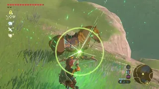 How to properly kill your horse in legend of Zelda BOTW