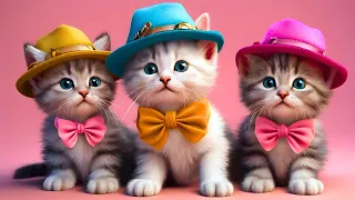 The Best Animal Moments: Cute Kittens, Cat and Calming Music #cat #animals #kitten  #kidsvideo #kids