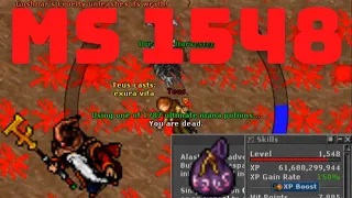 MS LVL 1548 EXPLODIDO, FERUMBRAS, RUBINI FOI CAÇADO E PERDEU O TOP VISABRA, BAG OF DESIRE, #GWTIBIA