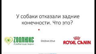 У собаки отказали задние конечности.Доврачебная помощь собакам в экстренных ситуациях. Вебинар.