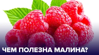 Не только при простуде: чего мы не знаем о МАЛИНЕ?