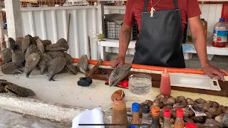 Callos de acha en bahía Kino sonora que rico sabor