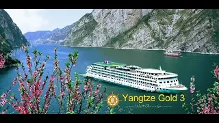 China Yangtze River Cruise：gold cruises