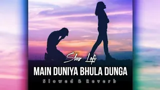 Main Duniya Bhula Dunga (Slowed & Reverb) Subhashree | Lofi Mix | Satyajeet Jaat @slowlofi9506