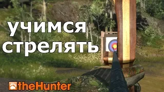 КАК СТРЕЛЯТЬ? РЕКУРСИВНЫЙ ЛУК theHunter