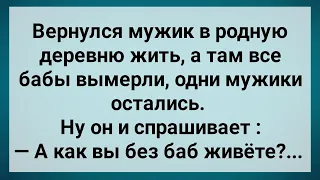 Как Мужики в Деревне Без Баб Жили! Сборник Свежих Анекдотов! Юмор!