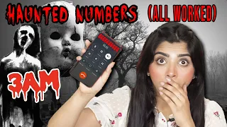 Calling *HAUNTED* Numbers You Should Never Call at 3 AM Challenge| *ALL OF THEM WORKED*🤯
