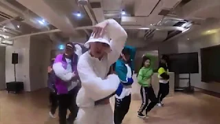 LAY - HONEY DANCE PRACTICE SLOW, SPEED & MIRRORED