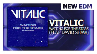 Vitalic - Waiting For The Stars (feat. David Shaw)