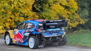 WRC Central European Rally 2023/￼Highlights/Mistakes/Action