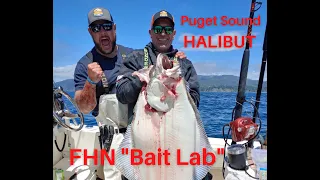 FHN "Bait Lab" How-To Puget Sound Halibut