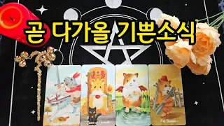 타로-곧 다가올 기쁜소식🌟