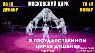 Легендарный цирк Юрия Никулина «Шоу белых тигров» в Душанбе
