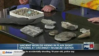 Ancient Worlds Hiding in Plain Sight exhibit comes to Cincinnati Museum Center