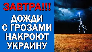 ПОГОДА НА 30 ИЮЛЯ : ПОГОДА НА ЗАВТРА