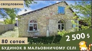 Будинок в гарному селі. Найбільший город з тих, що я оглядала. Велике господарствою