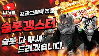 [슬롯 실시간] 11/12 반갑습니다 형님 누야 분들 슬롯갱스터 와 함께 슬롯 무찔러 봅시다 ! #슬롯 #슬롯실시간 #슬롯머신 #프라그마틱 #pragmatic #slot