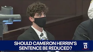 Cameron Herrin's sentencing debate continues over 2018 Bayshore tragedy