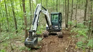 Mini excavator clearing trees & opening secret old logging road