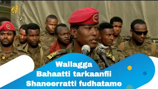 Wallagga Bahaatti tarkaanfii Shaneerratti fudhatame