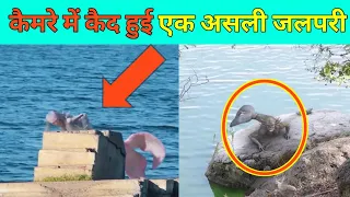 कैमरे मे कैद हुई एक असली जलपरी | real mermaid caught on camera in hindi | top 5 real mermaid part 2