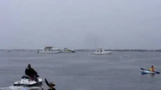 Freedom Swim on Charlotte Harbor, Punta Gorda, FL