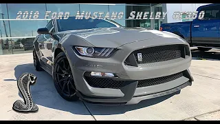 2018 Ford Mustang Shelby GT350 - Walkaround and Interior with key features. #ShelbyGT350 (SF0332Z)