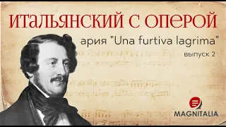 Итальянский с оперой. Выпуск 2. Una furtiva lagrima - ария Неморино из оперы “Любовный напиток”.