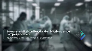 How are umbilical cord blood and umbilical cord tissue samples processed?