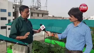 Organic Vegetables on Rooftop-Rajasthan Patrika Coverage | Living Greens