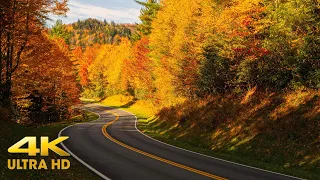 Utah Autumn Colors Mountain Scenic Driving 4K | Kolob Terrace Through Zion | Fall Relaxation