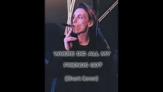 Where Did All My Friends Go Jamie Bower (Short Cover)