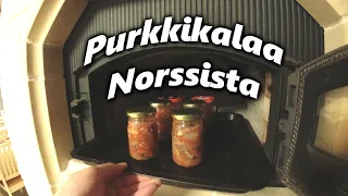 Purkkikalaa Norssi/Kuore