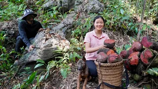 What must I do to meet him?, harvest, fruit that grows underground, Triệu Thị Phương