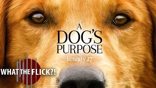 A Dog's Purpose - Official Movie Review