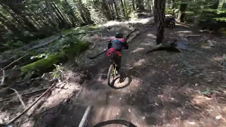 Demo Flow Trail