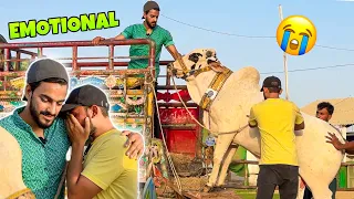 SURPRISING MY FRIEND WITH COW GIFT😍 | GOT EMOTIONAL 😭 | COW MANDI | MISHKAT KHAN