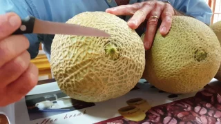 #FreshwithGary: How to know when a melon is ripe