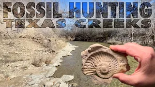 Fossil Hunting North Texas Creeks - March 2023