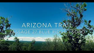 Arizona Trail Passage 27 - Blue Ridge