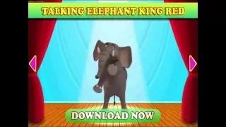 Talking Elephant King Red