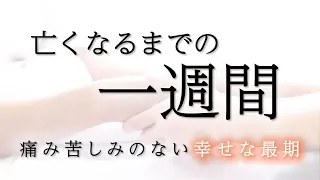 【末期がん 余命1週間】痛みも苦しみもない幸せな最期の迎え方