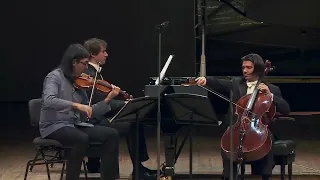 IV. Finale. Allegro (Lugansky . Capuçon . Kavakos - Brahms Piano Trio No. 1)