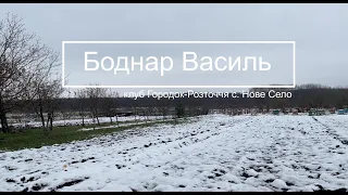 Боднар Василь - розплодовий бокс!