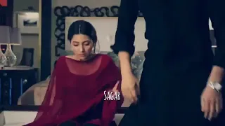 pakistani drama bin roye stetus