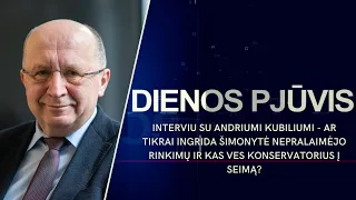 Interviu su Andriumi Kubiliumi - ar tikrai Ingrida Šimonytė nepralaimėjo rinkimų | DIENOS PJŪVIS